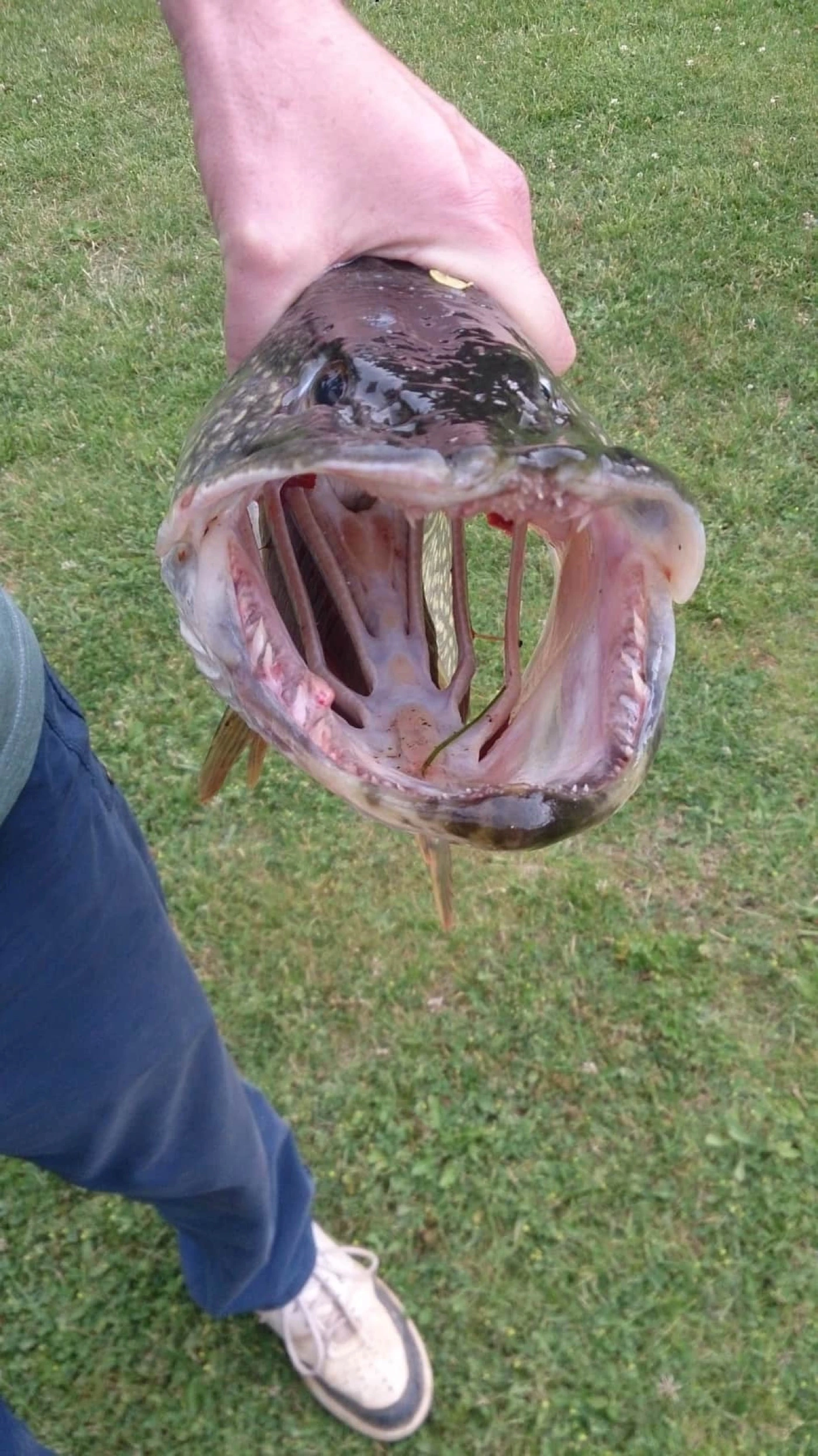 Езерата на Омая